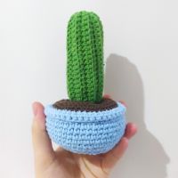 Amigurumi Kaktüs