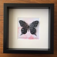 Siyah Kelebek - Kaat'ı Sanatı