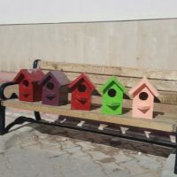 Renkli Ahşap Kuş Kafesleri
