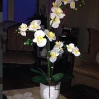 El Yapımı Orkide Çiçek